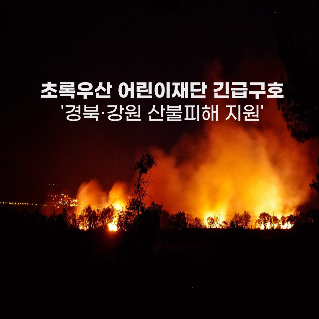 [국내 긴급구호] 경북·강원 대형 산불 피해 지원