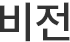 비전