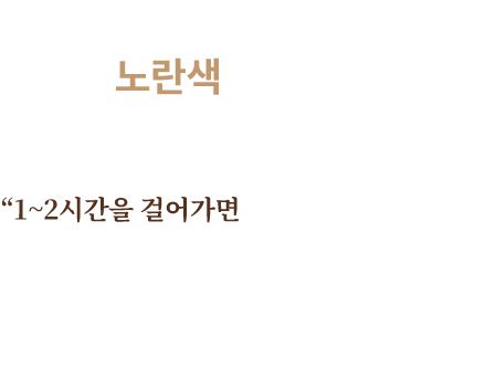 
									에티오피아의 하늘은 노란색 입니다.
									“1~2시간을 걸어가면 
									예전에 강이 있던 곳이 있어요. 거기에 우리가 손으로 판 
									구덩이가 있어요.  아주 깊게 판 구덩이요. 
									먼저 염소들을 먹이고, 그 다음에 우리가 먹을 물을 떠가요.”
									- 막시밀라(12세, 에티오피아) -								
								