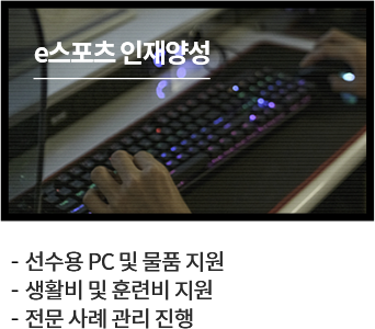 e스포츠 인재양성
						  - 선수용 pc 및 물품 지원
						  - 생활비 및 훈련비 지원
						  - 전문 사례 관리 진행
						  