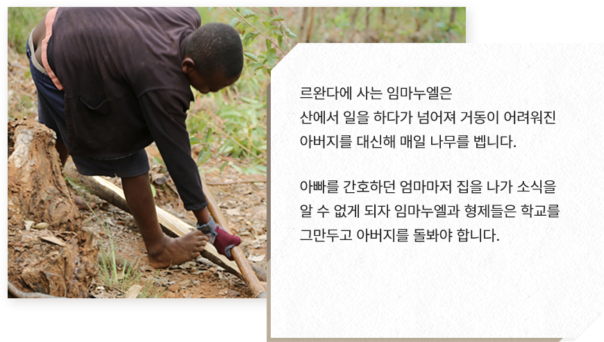 
							르완다에 사는 임마누엘은 
							산에서 일을 하다가 넘어져 거동이 어려워진 
							아버지를 대신해 매일 나무를 벱니다.
			
							아빠를 간호하던 엄마마저 집을 나가 소식을 
							알 수 없게 되자 임마누엘과 형제들은 학교를 
							그만두고 아버지를 돌봐야 합니다.
							