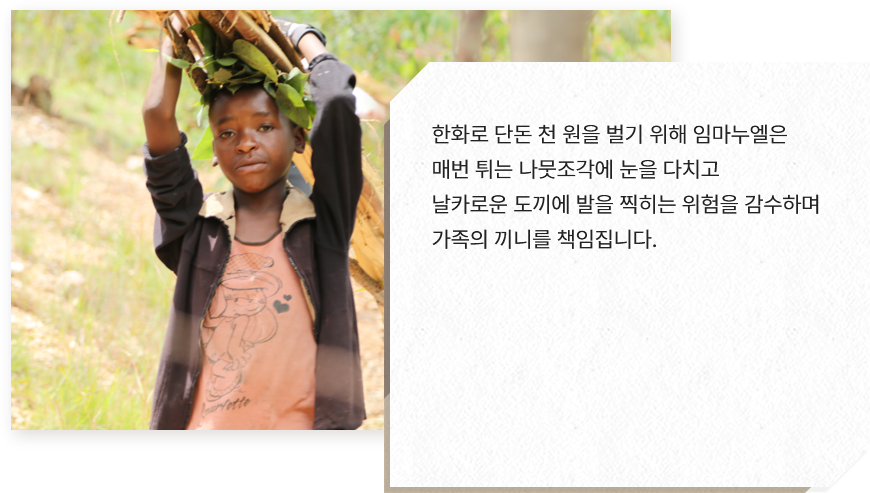 
							한화로 단돈 천 원을 벌기 위해 임마누엘은 
							매번 튀는 나뭇조각에 눈을 다치고 
							날카로운 도끼에 발을 찍히는 위험을 감수하며 
							가족의 끼니를 책임집니다.
							