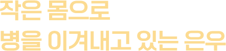 작은 몸으로 병을 이겨내고 있는 은우