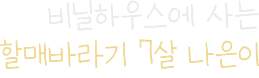 비닐하우스에 사는 할매바라기 7살 나은이
