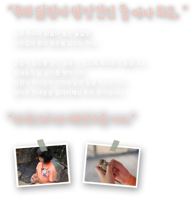 우리 닭장이 방앗간인 줄 아나 봐요. 스무 마리의 닭들이 낳는 달걀을 이웃집에 팔아 용돈을 모으는 하나. 닭들이 달걀을 많이 낳을 수 있도록 애지중지 돌봅니다. 참새들이 닭 모이를 뺏어 먹어 달걀이 작아질까 걱정에 닭장 앞을 지키는 하나. 얄미운 참새들을 잠자리채로 휘휘 쫓아냅니다.
