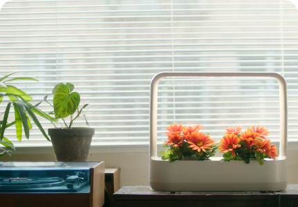 LG 틔운 미니와 함께 어우러진 인테리어 이미지