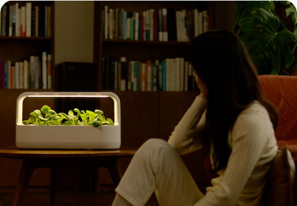 LG 틔운 미니를 바라보는 어머니 사진