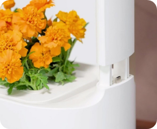 LG 틔운 미니 우측 빛 높이 조절이 가능한 영역을 보여주는 사진