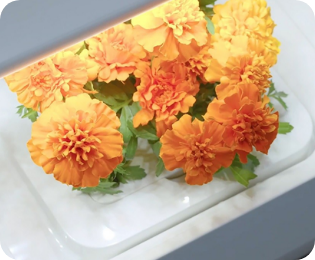 LG 틔운 미니 물 부족 상태임을 확인할 수 있는 영역을 보여주는 사진