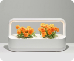 LG 틔운 미니 조명 밝기 변화 기능을 보여주는 사진