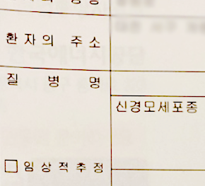 지호의 진단서 사진